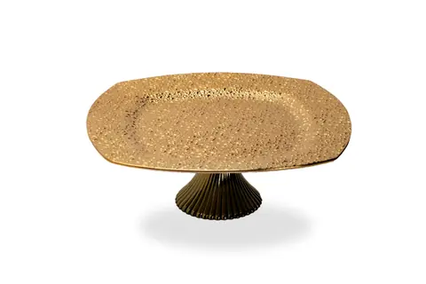 دیزی پایه دار برفی